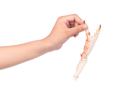 El ele tutuşan yengeç beyaz arkaplanda izole edildi