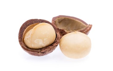Macadamia fındığı beyaz arkaplanda izole edildi.