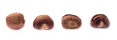 Kestaneler beyaz arkaplanda izole edilmiş