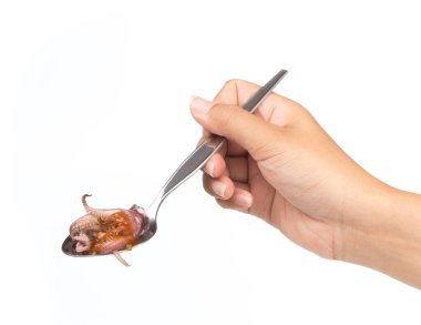 Beyaz arka planda izole edilmiş kaşık kaşık ızgara kalamar.