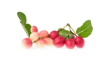 Beyaz arka planda yaprakları olan Carissa Carandas