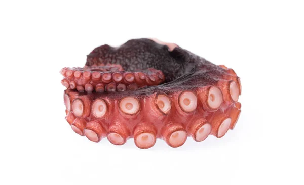 Tentáculos Pulpo Aislados Sobre Fondo Blanco — Foto de Stock