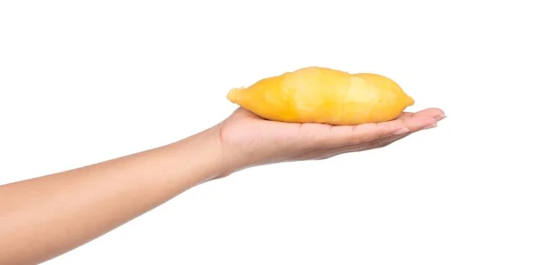 Hand Houden Van Een Deel Van Durian Fruit Geïsoleerd Witte — Stockfoto