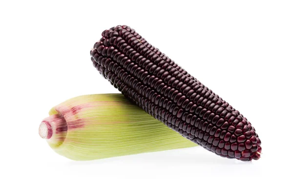 Свежий Фиолетовый Кукурузы Изолированы Белом Фоне — стоковое фото
