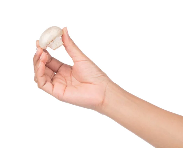 Hand Houden Champignon Mushroom Geïsoleerd Witte Achtergrond — Stockfoto