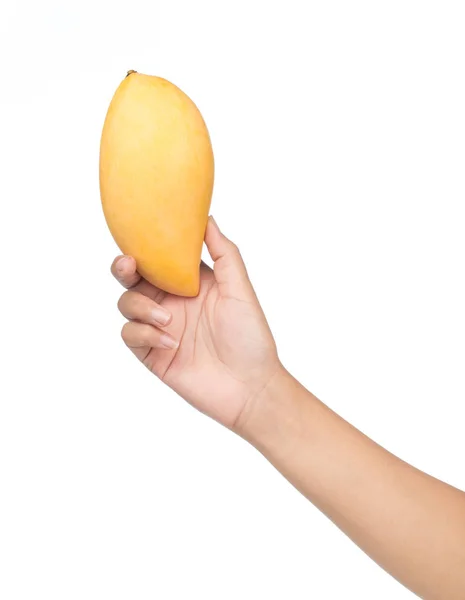 Ręczne Gospodarstwa Owoce Mango Izolowane Białym Tle — Zdjęcie stockowe