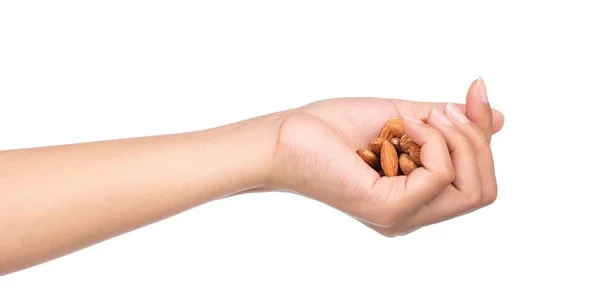 Mano Sosteniendo Semillas Almendras Aisladas Sobre Fondo Blanco —  Fotos de Stock