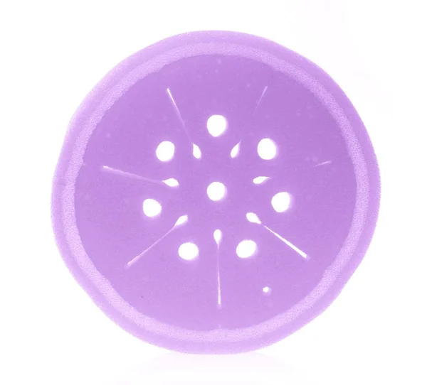 Purple Sponge Isolated White Background — Stock Photo, Image