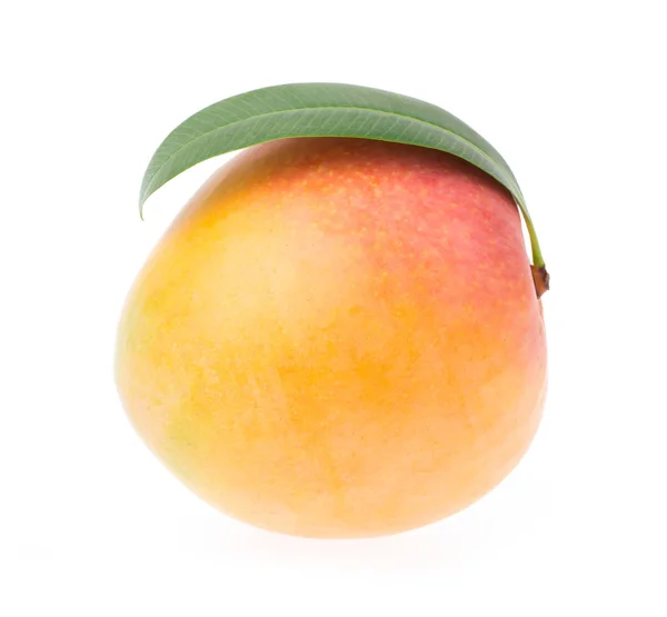 被白色背景隔离的成熟芒果 — 图库照片