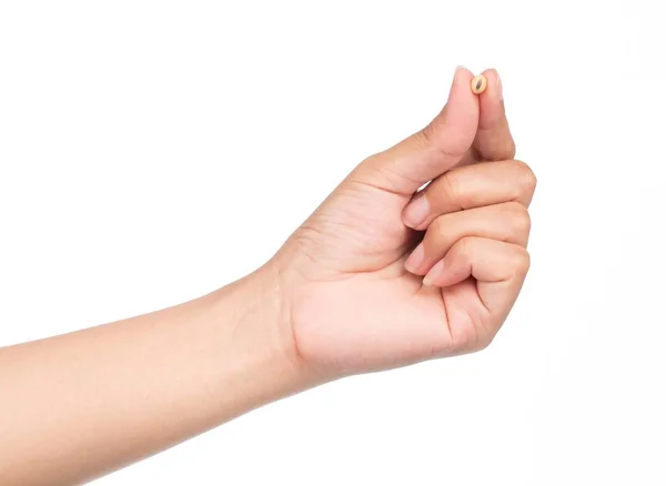 Hand Holding Soybeans Isolated White Background — Stock Photo, Image