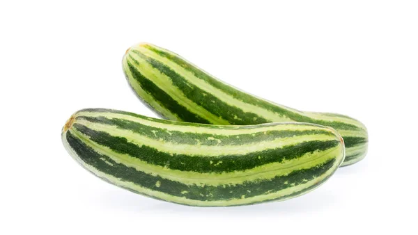 Cucumber Isolated White Background — Stock Photo, Image