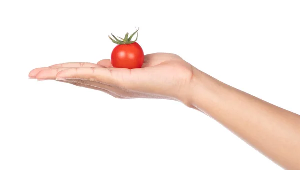Trzymanie Ręki Świeże Pomidory Izolowane Białym Tle — Zdjęcie stockowe