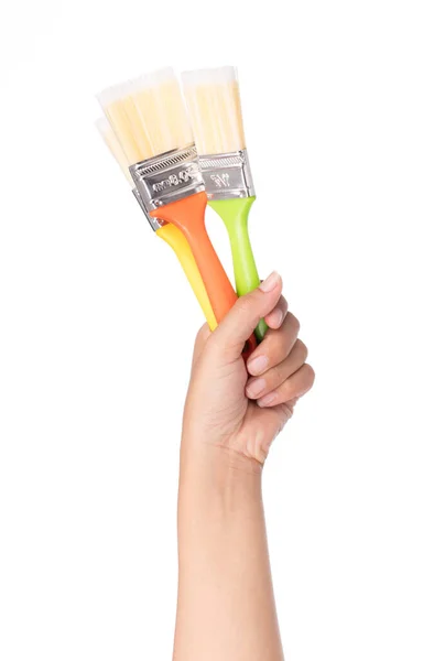 Hand Holding Paintbrush Isolated White Background — Stock Photo, Image