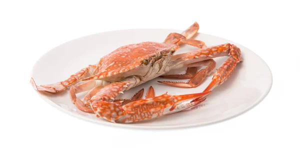 Plat Aux Fruits Mer Crabe Sur Plat Isolé Sur Fond — Photo