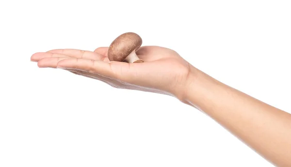 Trzymanie Ręki Champignon Mushroom Izolowane Białym Tle — Zdjęcie stockowe