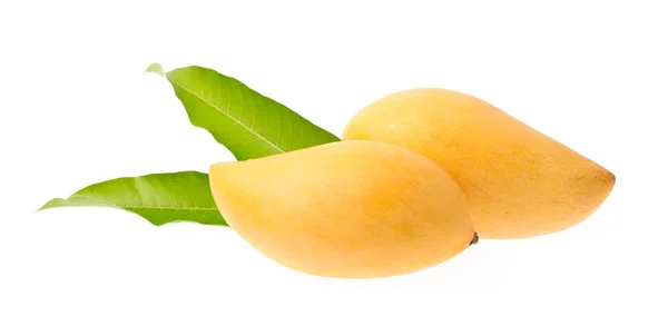 Fruto Mango Con Hojas Aisladas Sobre Fondo Blanco — Foto de Stock