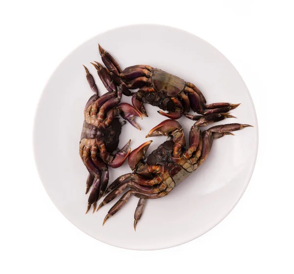 Hidangan Kepiting Segar Diisolasi Pada Latar Belakang Putih — Stok Foto