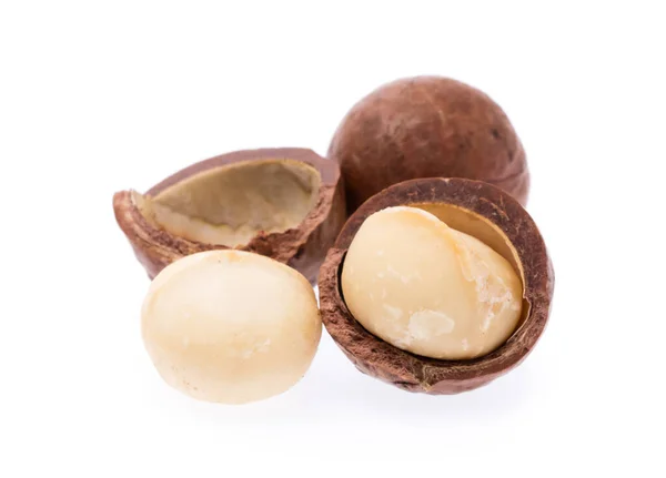 Macadamia Fındığı Beyaz Arkaplanda Izole Edildi — Stok fotoğraf