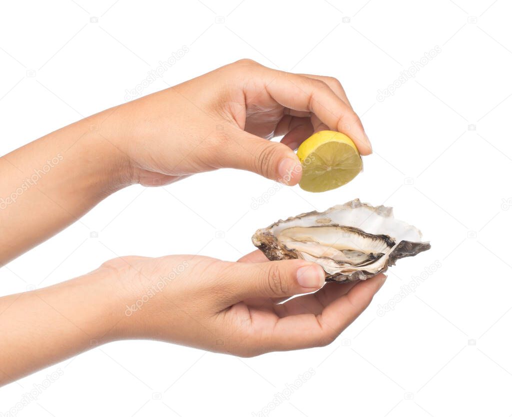 hand holding oyster with sliced lemon isolated on white background