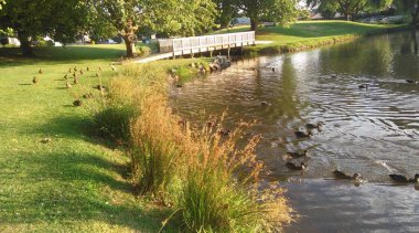Belvedere ördek havuzu - yaz, öğleden sonra güneşi