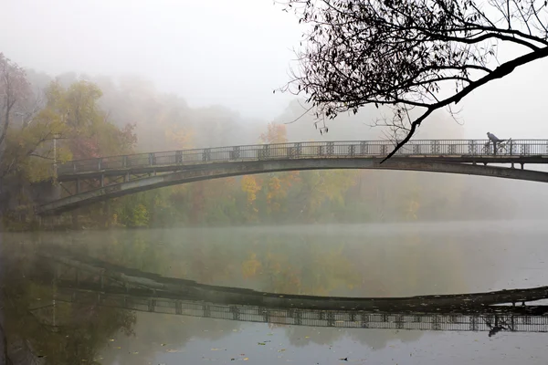 Φθινοπωρινό τοπίο με ποτάμι στην ομίχλη — Φωτογραφία Αρχείου