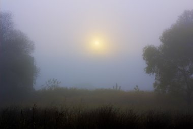 Güçlü sis, sonbahar yatay