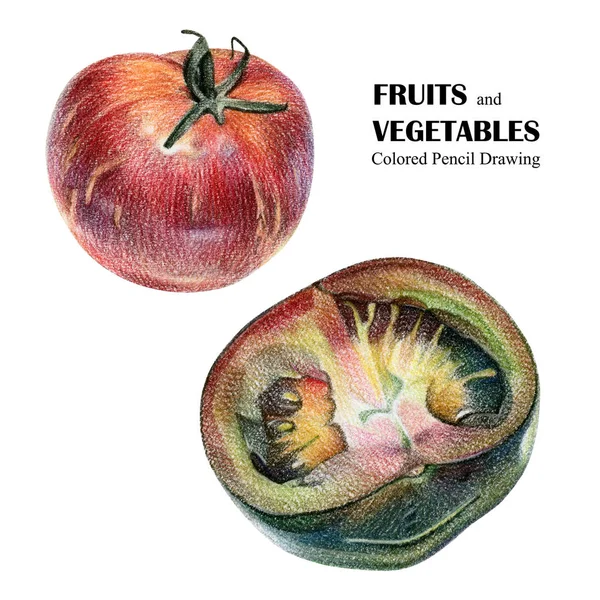 Illustration avec tomates rouges et vertes dessinées à la main avec crayon de couleur — Photo