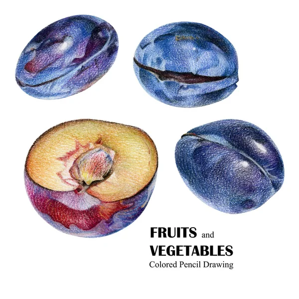 Illustration avec des prunes bleues et rouges dessinées à la main avec un crayon de couleur — Photo