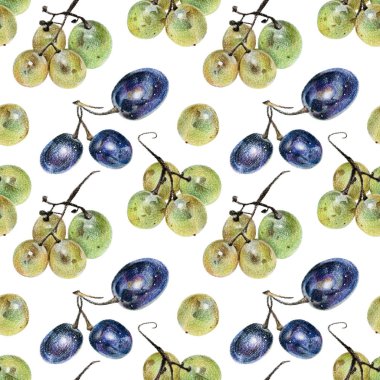 El ile renkli kalemle çizilmiş yeşil ve mavi üzüm ile Seamless Modeli
