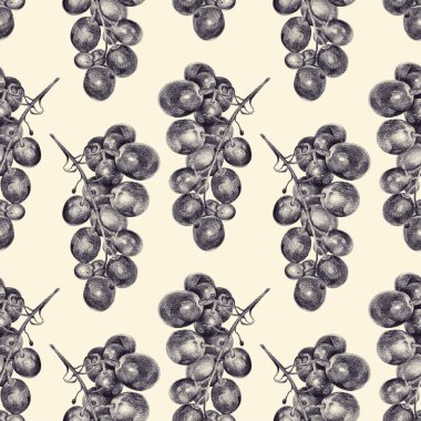 El ile kalemle çizilmiş üzüm ile Seamless Modeli