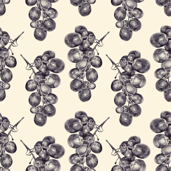 El ile kalemle çizilmiş üzüm ile Seamless Modeli
