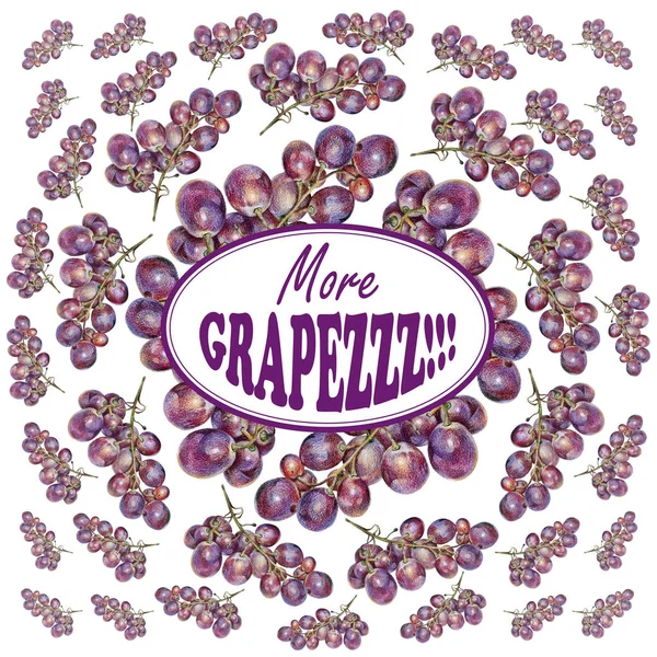 Illustratie met paarse druiven met de hand getekend met kleurpotlood en met logo in centrum — Stockfoto