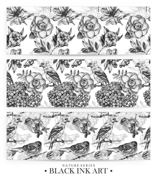 Noktalı çiçekler, kuşlar ve el ile siyah mürekkeple çizilmiş bitkiler ile Dikişsiz desen seti — Stok fotoğraf