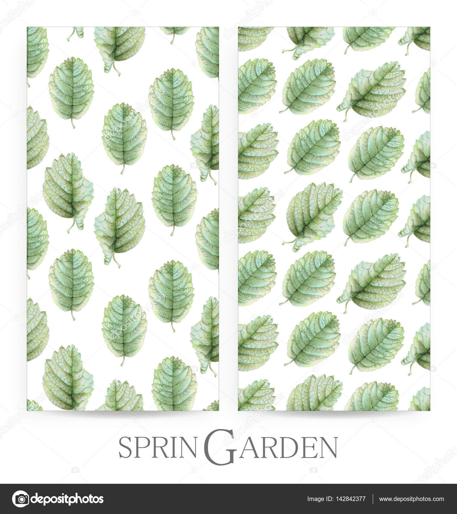 Dipinto a mano con l illustrazione di matite colorate isolato su priorit  bassa bianca Romantico stile vintage — Foto di arvitalyaa