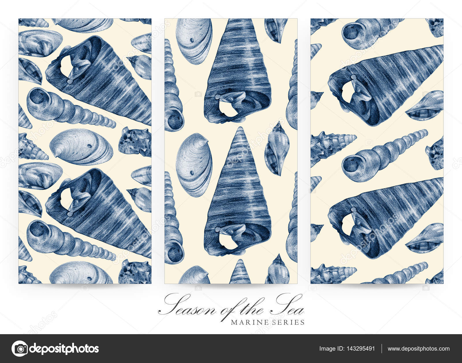 Insieme dei reticoli senza giunte con le conchiglie disegnati a Disegno di schizzo dalla natura accademico Tinto colore blu — Foto di arvitalyaa