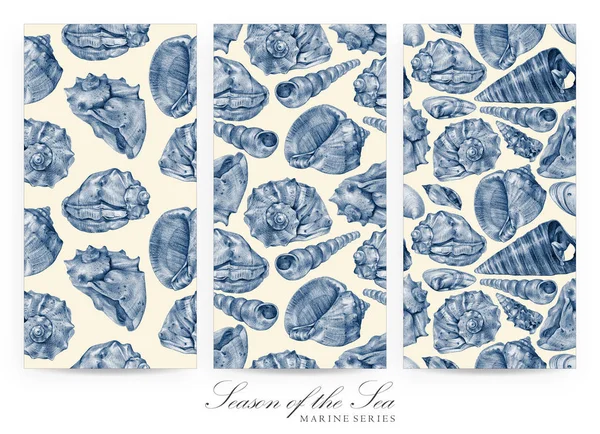 Set of seamless patterns with seashells drawn by hand with pencil