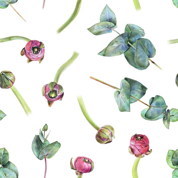 Padrão floral sem costura com botões de buttercup roxo e eucalipto verde no branco — Fotografia de Stock