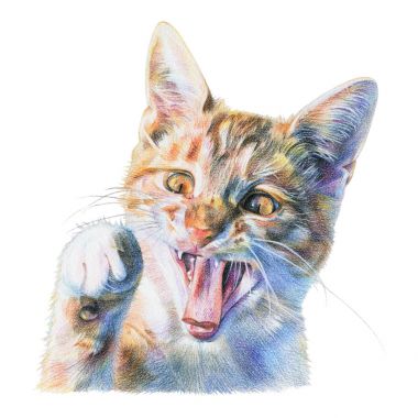  Kırmızı kedi ile renkli kalemler boyalı