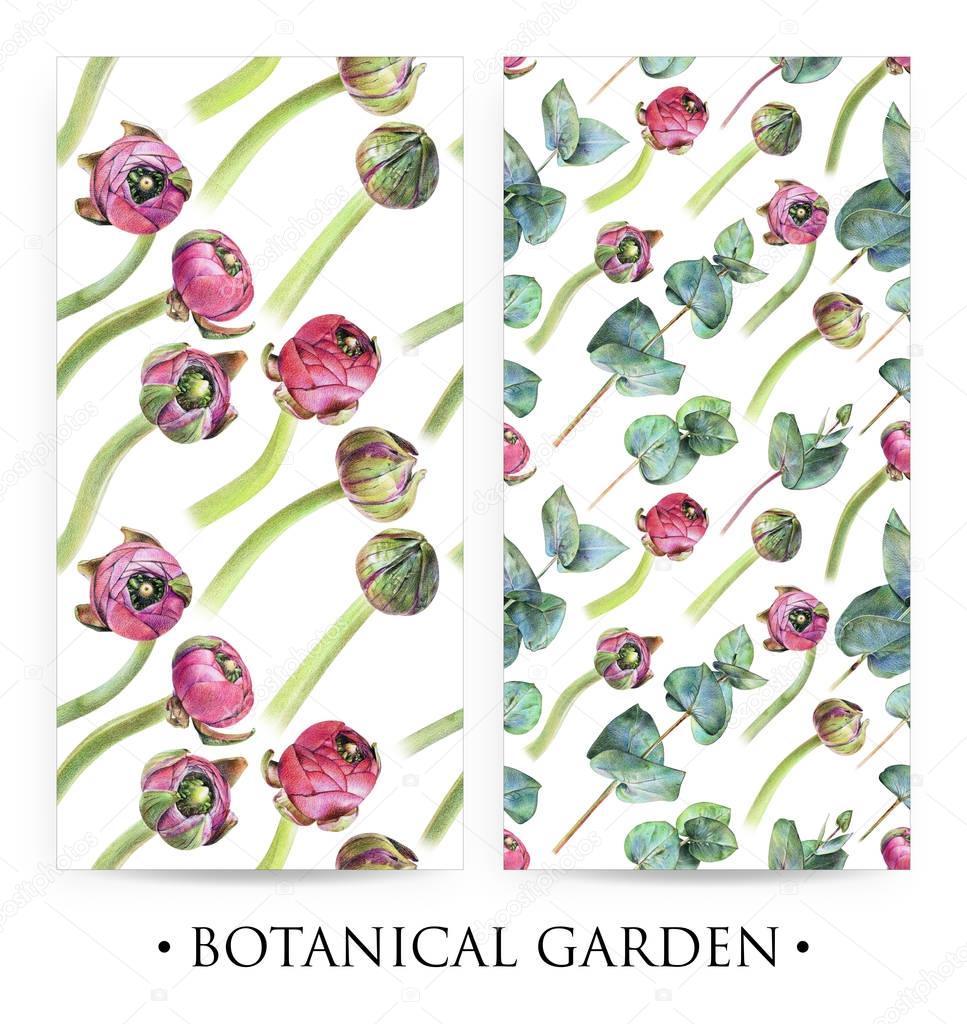  Set of seamless floral patterns with purple buttercup buds and green eucalyptus on white