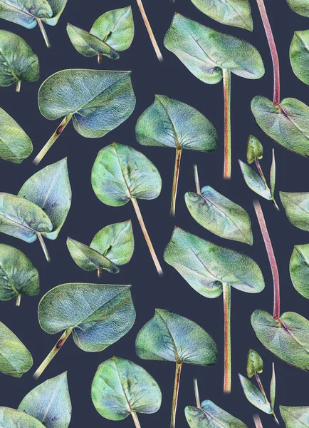Květinový vzor bezešvé s zelená eukalyptu — Stock fotografie