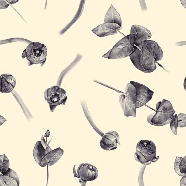  Buttercup tomurcukları ve okaliptüs ile sorunsuz çiçek desenli