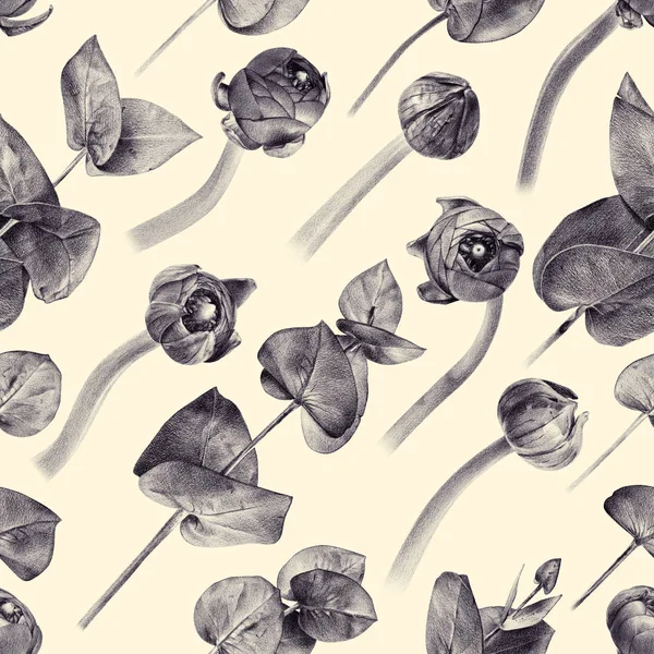 Padrão floral sem costura com botões de buttercup e eucalipto — Fotografia de Stock
