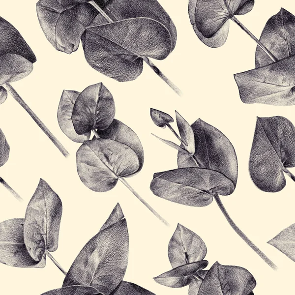 Naadloze bloemmotief met eucalyptus — Stockfoto