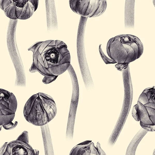 キンポウゲ芽シームレス花柄 — ストック写真