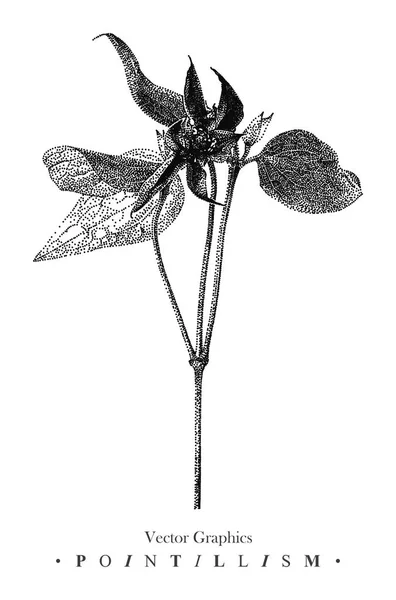Векторная иллюстрация с цветком клематиса, нарисованная вручную — стоковый вектор