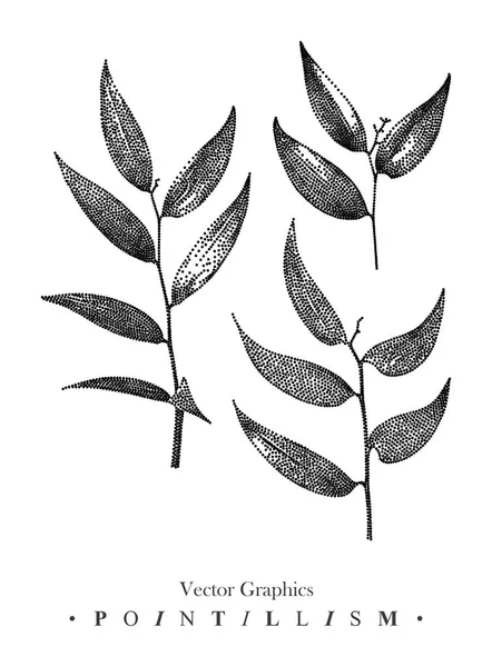 Ilustração vetorial com conjunto de ramos e folhas desenhadas à mão —  Vetores de Stock