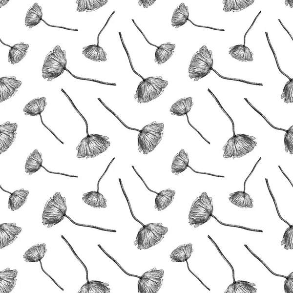 Seamless pattern with poppy flower isolated on white background drawn by hand — Stock Photo, Image