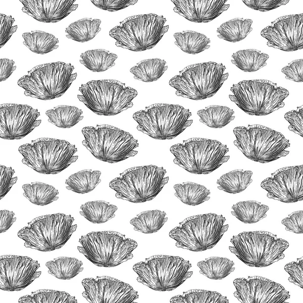  Elle çizilmiş beyaz arka plan üzerinde izole haşhaş çiçek ile Seamless Modeli