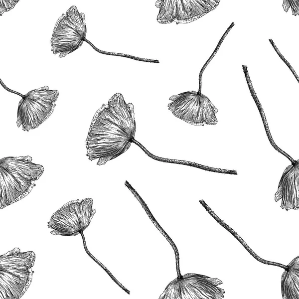 Patrón sin costura vectorial con flor de amapola aislada sobre fondo blanco dibujado a mano — Vector de stock