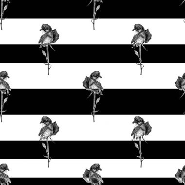  Vektör seamless modeli melez çay gül ve siyah çizgili